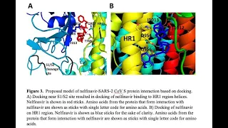 Molecular and Cell Biology of Coronaviruses and especially SARS-2 CoV by K G Kousoulas (PI) LBRN