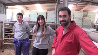 Ganaderos en su habitat | asturianas en campo la cruz | 1.4.2022