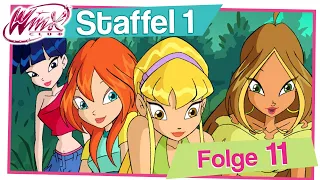 Winx Club - Staffel 1 Folge 11 - Die Riesenschildkröte [KOMPLETT]