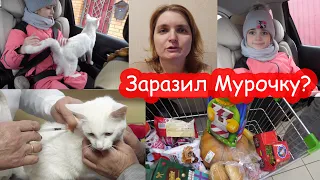 VLOG Снежку делают уколы. Наши покупки в магазине