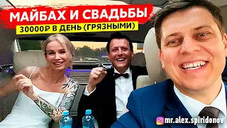 Вип такси и свадьба. Заказы Яндекс такси