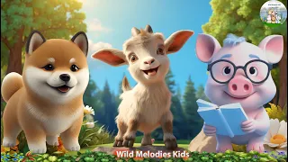Cute Little Farm Animal Sounds: Pig, Goat, Dog, Puppy | Music For Relax