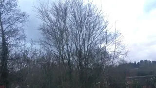 Storm Freya Hitting Worcestershire. Strong Winds.