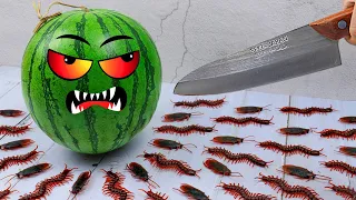 How To Make Jelly From Watermelon And Fruit | Mukbang ASMR Unusual Funny Video Stop Motion Cooking