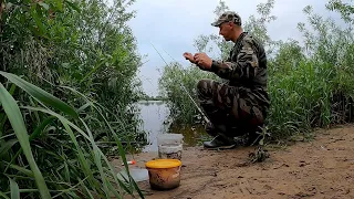 Рыбалка на ФИДЕР ИЮНЬ!!! Река Неман!!!
