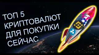 Топ 5 Криптовалют c Огромным Потенциалом Роста после краха FTX!