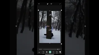 Идея для фото в лесу