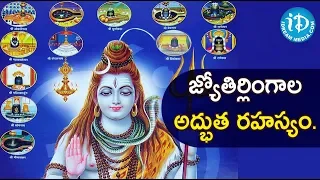 Dwadasa Jyotirlingas Darshan With Significance || 12 Jyotirlingas Famous Temples In India