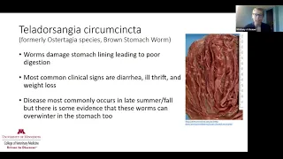 Parasite Management-Most common parasites of sheep and goats (small ruminants)-Part 1 of 3