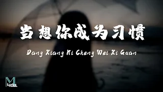 KeyKey - Dang Xiang Ni Cheng Wei Xi Guan (当想你成为习惯) Lyrics 歌词 Pinyin/English Translation (動態歌詞)