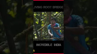 Living Root Bridge Meghalaya| Incredible india