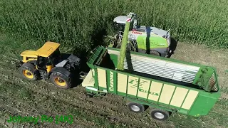 Maishäckseln Teil 3 mit LU Krumm und Claas Jaguar 960, 10 Reihen Maisgebiss, Claas, JCB, Krone [4K]