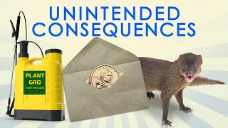 Great Moments in Unintended Consequences: Coin Mail, Fertilizer Ban, and Hawaiian Mongoose (Vol. 14)