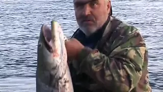 За Полярный Круг. www.fishingtvclub.ru