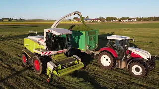 1.Schnitt 2021/ Claas Jaguar 850/ Steyr / Fendt 724 / Agrarbilder Niederbayern / Landwirtschaft /