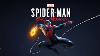 Marvels Spider Man Miles Morales ➤Бродяга