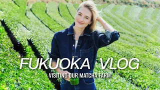 Japan Travel Vlog | Visiting Our Matcha Farm in Fukuoka | Sanne Vloet