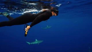 eSPEAR - The Worlds First Handheld Electrical Shark Deterrent