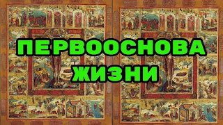 ПЕРВООСНОВА ЖИЗНИ