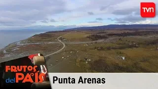 Frutos del País - Punta Arenas