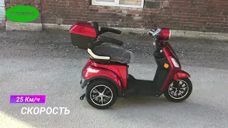 Трехколесный электроскутер ER-SCOOTERS