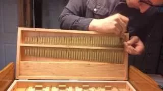 Harmonium Repair: How to Fix a Buzzing Reed