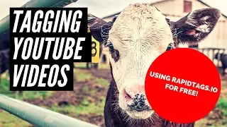 Rapid tags will streamline your youtube tagging chore for you - for free