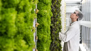 State-of-the-art vertical farms feed Auburn campus