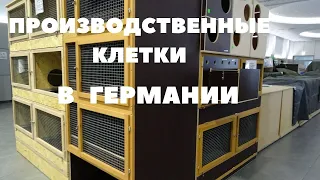 Немецкие клетки для кроликов, шедовое содержание