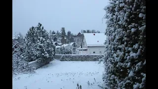 First Snowfall in Oslo | Season's first | Truly a Winter Wonderland | Norway