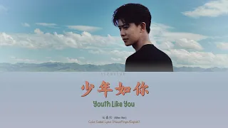 任嘉伦 - 《少年如你》 歌词 | Ren Jia Lun (Allen Ren) - Youth Like You [Color Coded Lyrics Hanzi/Pinyin/English]