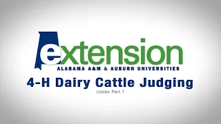 4-H Dairy Cattle Judging: Udder Part 1