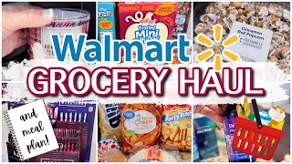 WALMART SHOP WITH ME + HAUL | WHAT'S NEW AT WALMART | GROCERY HAUL ​⁠+ MEAL PLAN