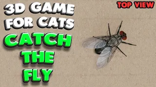 3D game for cats | CATCH THE FLY (top view) | 4K, 60 fps, stereo sound