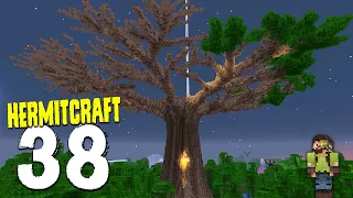 HermitCraft 7: 38 | TREE BASE CANOPY COMPLETE