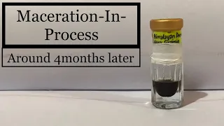 Maceration In Process (HDM)