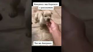 Лучшие тикток мемы #385 | Best TikTok memes #shorts #memes #мем