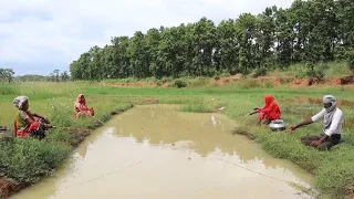 Fishing video || incredible three lady & man catching big fish with hook in village mud water #video