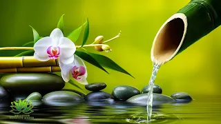 Music to Relax the Mind + Yoga, Sleep + Music for Meditation, Relaxing Sleep Music, Zen,Water Sounds