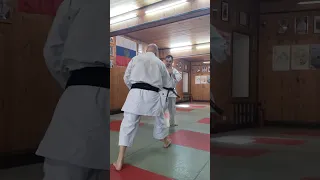 Korovin Sensei 6 dan Shorinji ryu Karate / demo of the Renzoku kata / Moscow Kodokan Budo Festival