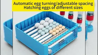 Hot sale egg incubators 5000 solaire