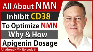 All About NMN Ep6 | Inhibit CD38 To Optimize NMN | Why & How | Apigenin Dosage