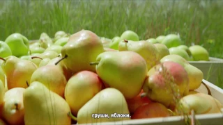 Молочные продукты ФрутоНяня