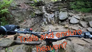 Trials and enduro heaven? parkwood offroad trials practice (tong) vertigo 250 gas gas 280