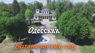 Одесский Ботанический сад