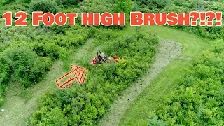 Clearing land for our small farm with a Kubota Bx24? (using a flail mower)
