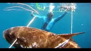 Spearfishing Giant Amberjack with ADZHOO - Action de chasse Sériole - Pesca in apnea ricciola