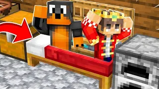 CZY ABRA i ELVISOO MAJĄ SEKRETNY SOJUSZ PRZECIWKO MNIE na LIFESTEAL SMP w Minecraft?