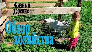 Обзор хозяйства. Почти ГОД в деревне:)