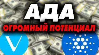 АДА ПОКАЗЫВАЕТ ОГРОМНЫЙ ПОТЕНЦИАЛ! CТОИТ ЛИ СЕЙЧАС ПОКУПАТЬ? (VET, SOL, ADA)